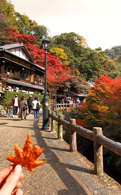箕面大滝名物の紅葉天ぷらです。